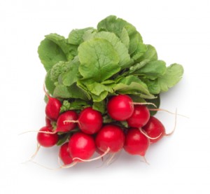Fresh organic radishes