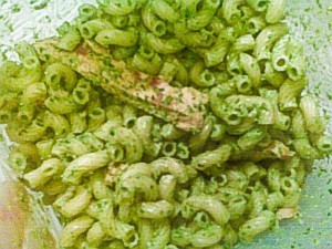 dairy-free pesto